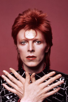 David Bowie Ziggy Stardust Retro Vintage Glam Rock Music Stretched Canvas Art Wall Decor 16x24