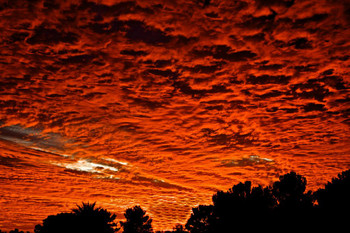 Fire in the Sky at Dusk El Paso Texas Photo Print Stretched Canvas Wall Art 24x16 inch