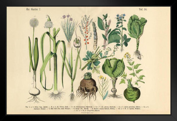Vegetables Fruit and Berries of the Garden Victorian Botanical Illustration Art Print Stand or Hang Wood Frame Display Poster Print 13x9