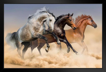 Three Arabian Stallions Horses Running Through The Dust Photo Photograph Art Print Stand or Hang Wood Frame Display Poster Print 13x9