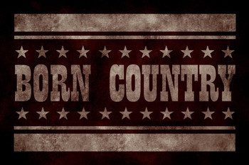 Born Country Vintage Dark Stretched Canvas Wall Art 16x24 inch