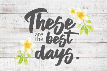 Laminated These are the Best Days Farmhouse Decor Rustic Inspirational Motivational Quote Family Kitchen Living Room Poster Dry Erase Sign 12x18