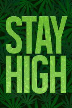 Stay High Marijuana Cannabis Bud Pot Joint Weed Ganja Bong Blunt College Humor Leaves Stretched Canvas Wall Art 16x24 inch