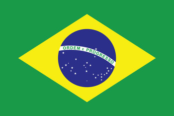 Flag of Brazil Stretched Canvas Art Wall Decor 16x24