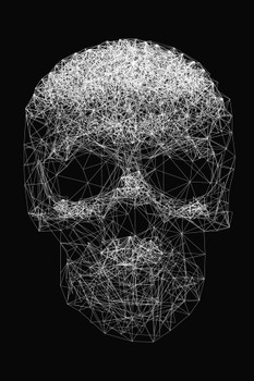 Skull Human Anatomy Line Art Spooky Scary Halloween Decorations Stretched Canvas Art Wall Decor 16x24
