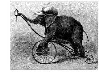 Antique Illustration of Circus Elephant Photo Photograph Elephant Posters For Wall Elephant Art Print Elephants Wall Decor Photo Of Elephant Decor Picture Stretched Canvas Art Wall Decor 24x16