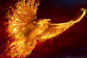 Phoenix Rising Flaming Eagle by Tom Wood Fantasy Poster Bird On Fire Like Dragon Magical Mystical Animal Creature Stretched Canvas Art Wall Decor 16x24