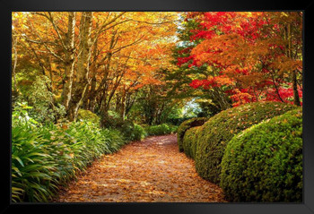 Footpath in Autumn Season Mount Wilson Australia Photo Photograph Art Print Stand or Hang Wood Frame Display Poster Print 13x9