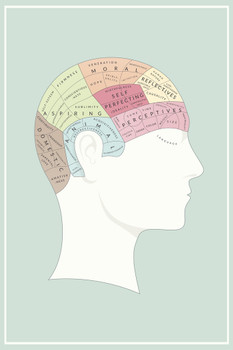 Phrenology Brain Region Mapping Head Chart Educational Medical Cool Wall Decor Art Print Poster 12x18