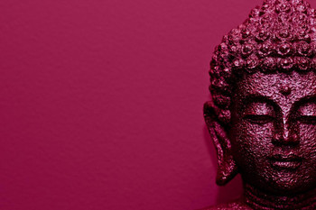 Buddha Candy Photo Print Stretched Canvas Wall Art 24x16 inch