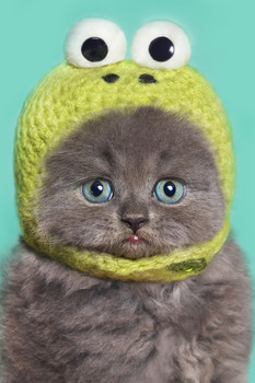 Funny Gray Kitten in Green Frog Hat Photo Baby Animal Portrait Photo Cat Poster Cute Wall Posters Kitten Posters for Wall Baby Poster Inspirational Cat Poster Cool Wall Decor Art Print Poster 12x18