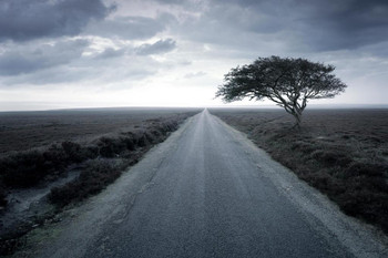 Dirt Road Stretching Through Rural Landscape Photo Print Stretched Canvas Wall Art 24x16 inch