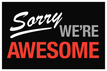 Sorry Were Awesome Sign Cool Wall Decor Art Print Poster 12x18