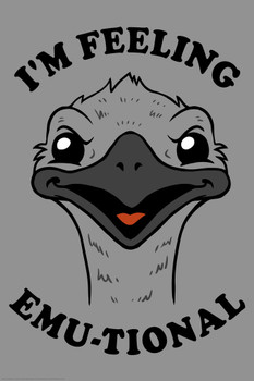 Im Feeling Emutional Emu Bird Funny Parody LCT Creative Cool Wall Decor Art Print Poster 12x18