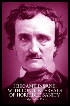 Edgar Allan Poe I Became Insane Purple Famous Motivational Inspirational Quote Stretched Canvas Wall Art 16x24 inch