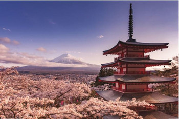 Mount Fuji Blossom Photo Photograph Cool Wall Decor Art Print Poster 36x24