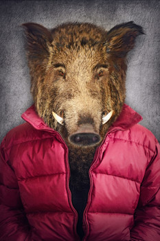 Wild Boar Head Red Vest Wearing Human Clothes Funny Parody Animal Face Portrait Art Photo Cool Wall Decor Art Print Poster 12x18