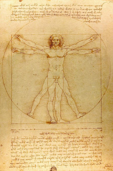 Leonardo Da Vinci Vitruvian Man Poster Drawing Circa 1490 Human Body Sketch Renaissance Italy Stretched Canvas Art Wall Decor 16x24