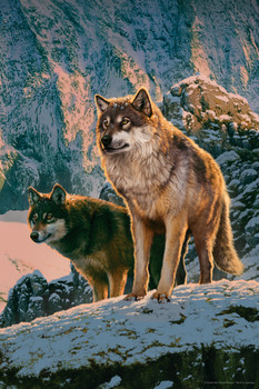 Wolf Couple Snowy Ridge Sunset by Vincent Hie Wolf Posters For Walls Posters Wolves Print Posters Art Wolf Wall Decor Nature Posters Wolf Decorations for Bedroom Cool Wall Decor Art Print Poster 12x18