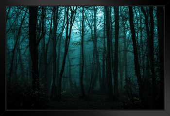 Dramatic Dusk In Fall Forest Woods Dark Trees Photo Art Print Stand or Hang Wood Frame Display Poster Print 13x9