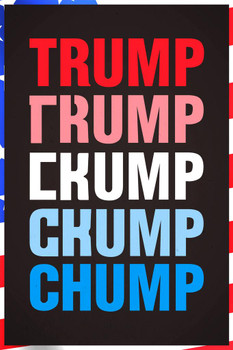 Trump To Chump Transformation Funny Stretched Canvas Wall Art 16x24 inch