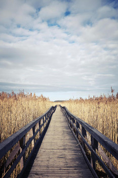 Wooden Boardwalk Photo Print Stretched Canvas Wall Art 16x24 inch