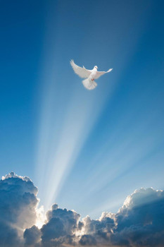 Flying Dove and Clouds Spiritual Stretched Canvas Art Wall Decor 16x24
