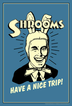 Shrooms! Have A Nice Trip! Vintage Style Retro Humor Stretched Canvas Wall Art 16x24 inch