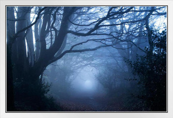 Footpath Through A Misty Woods Photo Photograph Spooky Scary Halloween Decorations White Wood Framed Art Poster 20x14