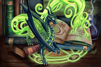 Summoning Dragons by Carla Morrow Fantasy Poster Green Dragon Spiritual Spells Witchcraft Magic Stretched Canvas Art Wall Decor 16x24