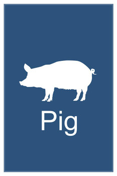 Farm Animals Pig Silhouette Classroom Learning Aids Barnyard Farming Blue Stretched Canvas Wall Art 16x24 inch