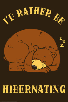Id Rather Be Hibernating Sleeping Bear Funny Parody LCT Creative Cool Wall Decor Art Print Poster 12x18