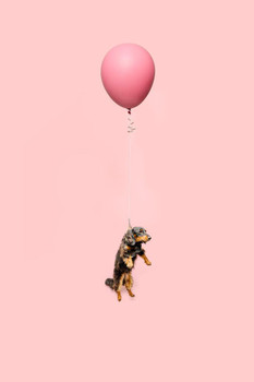 Cute Dog Tied to a Balloon Floating Puppy Posters For Wall Funny Dog Wall Art Dog Wall Decor Puppy Posters For Kids Bedroom Animal Wall Poster Cute Animal Stretched Canvas Art Wall Decor 16x24