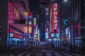 Neon Building Street Lights Night Downtown Shinjuku Tokyo Japan Skyline Photo Stretched Canvas Art Wall Decor 16x24