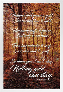 Nothing Gold Can Stay Robert Frost Poem Poetry Inspirational Motivational Classroom Literature Forest Photograph Nature White Wood Framed Poster 14x20