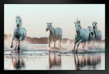 Wild Horses Running On Beach Ocean Water Spraying At Sunset Girls Bedroom Decor Cute Animal Western Country Black Wood Framed Art Poster 14x20