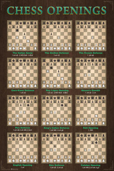 Laminated Chess Openings Game Room Decor Chart Moves Defense Poster Dry Erase Sign 24x36