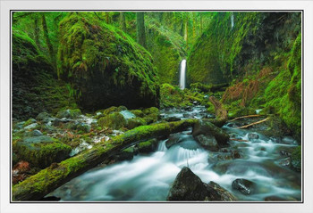 Mossy Grotto Falls Columbia River Gorge Oregon Photo Photograph White Wood Framed Poster 20x14