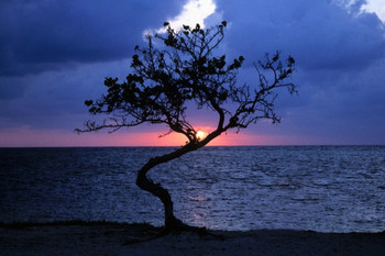 Sunset Over the Sea Blackbeards Caye Belize Photo Photograph Cool Wall Decor Art Print Poster 18x12