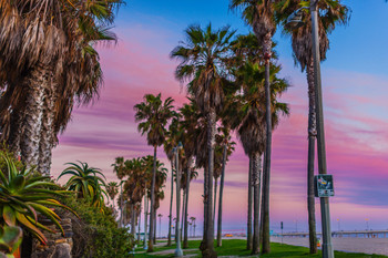 View down Ocean Front Walk Toward Venice Pier Venice Beach California Photo Photograph Cool Wall Decor Art Print Poster 18x12