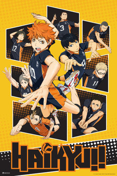 Haikyuu Poster Karasuno High School Volleyball Team Shoyo Anime Stuff Haikyuu  Manga Haikyu Anime Poster Crunchyroll Streaming Anime Merch Animated Series  Show Stretched Canvas Art Wall Decor 16x24 - Poster Foundry