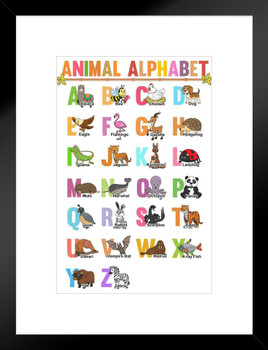 Classroom Alphabet Poster Chart Teacher Supplies For Classroom School Decor Teaching Toddler Kids Elementary Learning Decorations Alphabet Wall Chart ABC Chart Matted Framed Art Wall Decor 20x26