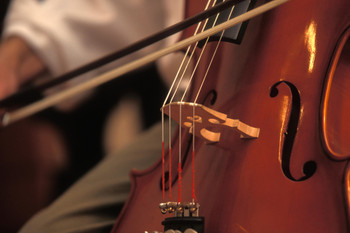 Close Up of Musician Playing Cello Photo Photograph Cool Wall Decor Art Print Poster 18x12