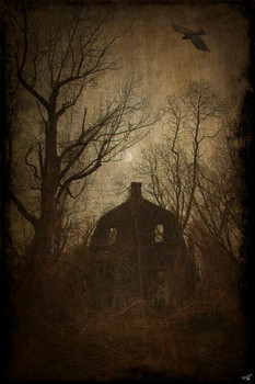 Laminated The House by Chris Lord Photo Art Print Poster Dry Erase Wall Art 24x36