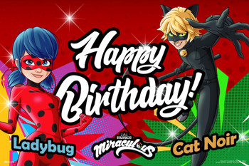 Miraculous Ladybug Birthday Decorations Party Banner Decor Lady Bug And Cat Noir Backdrop Poster Cool Wall Art Print Poster 18x12