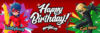 Laminated Miraculous Ladybug Birthday Decorations Party Banner Decor Lady Bug And Cat Noir Backdrop Poster Poster Dry Erase Wall Art 72x24