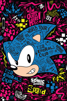 Sonic the Hedgehog Emerald Club World Tour Sega Video Game Gaming Stretched Canvas Art Wall Decor 16x24