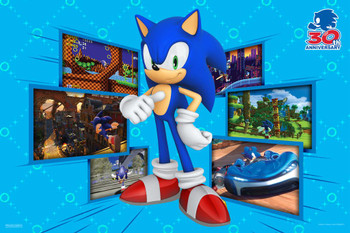 Sonic the Hedgehog 30th Anniversary 3D Screenshot Sega Video Game Retro Classic Gamer Stretched Canvas Art Wall Decor 16x24