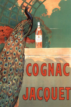 Camille Bouchet Cognac Jacquet Peacock Vintage French Brandy Beverage Advertisement Cool Wall Decor Art Print Poster 16x24