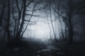 Scary Forest Path In Dark Woods Black White Photo Poster Nature At Night Horror Halloween Decoration Cool Wall Decor Art Print Poster 16x24